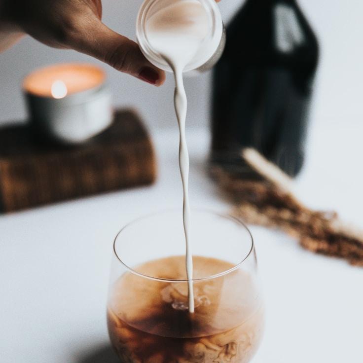 Evening Enigma: Dark Velvet Elixir